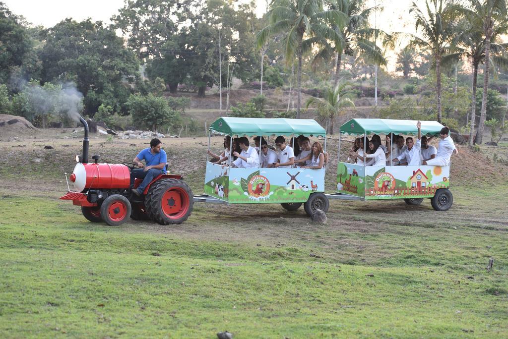 Quilombo Hotel Fazenda União dos Palmares Exteriör bild